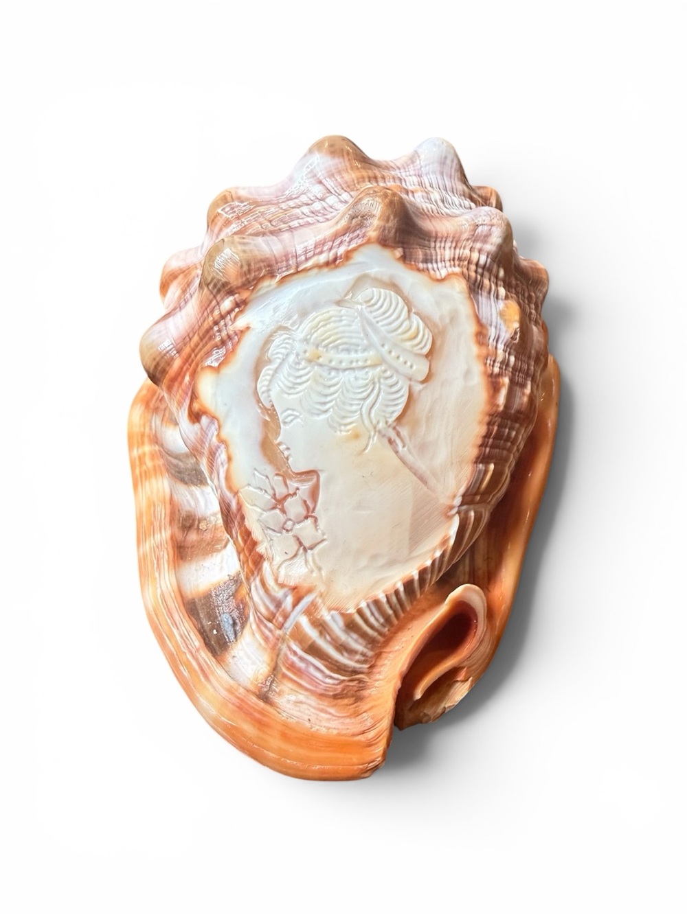 M+M Scognamiglio Italy Hand Carved Shell Cameo Conch Lady Bust Sculpture Decor